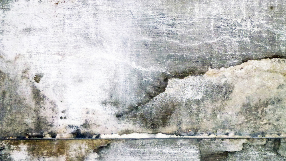 mur-de-san-giorgo-venise-20121