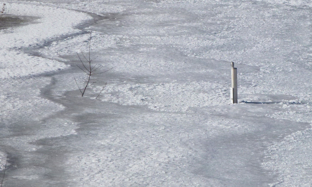 tourbiere-du-peuil-2009